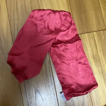 도쿄 여자 학원 리본 빨간 리본