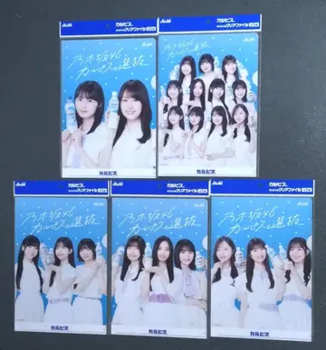 노기자카46 칼피스 클리어 파일 5매 세트