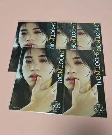 BUDDiiS 모리 슈토 L판 브로마이드 [C-1]