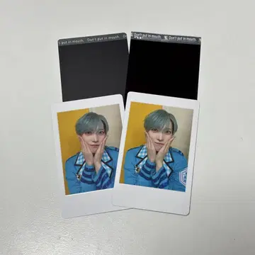 팬더 드래곤 파라곤 타이 가 히파카 폴라로이드