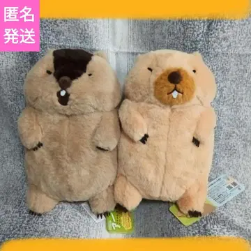 마모트의 모토토 모어 JB 봉제 인형
