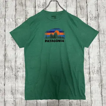 Patagonia 파타고니아 슬림 핏 티셔츠