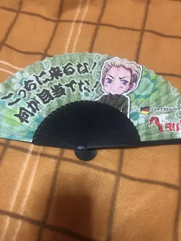 헤타리아 부채 독일