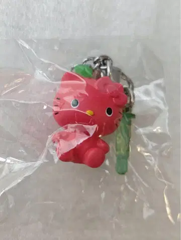 지역 특산품 키티 헬로키티 초레어 지퍼 마스코트 스트랩