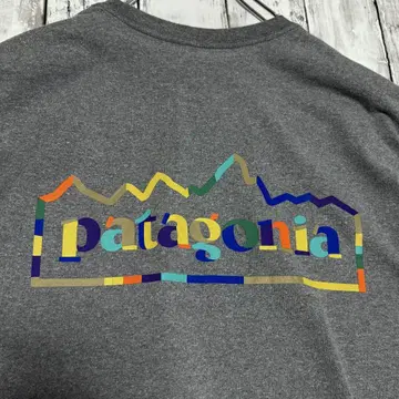 Patagonia 파타고니아 Responsibili-Tee 티셔츠