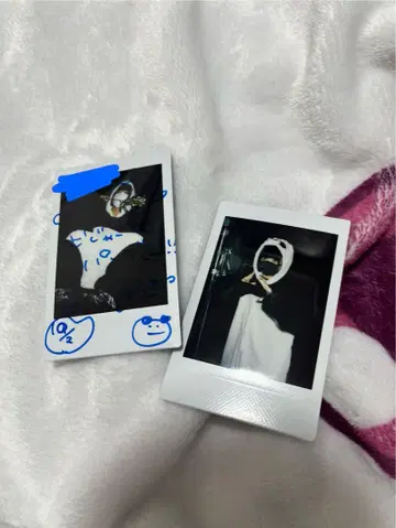 고양이 고양이 고양이 ZOCX 팬더 폴라로이드 2장 세트