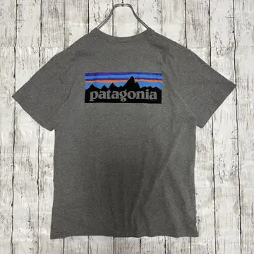 Patagonia 파타고니아 Responsibili-Tee 티셔츠