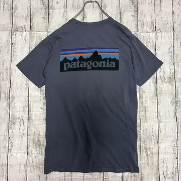 Patagonia 파타고니아 슬림 핏 양면 프린트 티셔츠