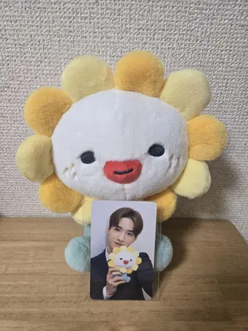 JOCHUM Bira 봉제 인형 트레이딩 카드 세트