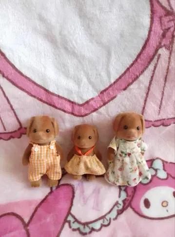 레어 실바니아 해외판 브라운 개 가족