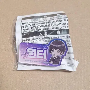 aespa 이름 아크릴 배지 남코 한정판 윈터