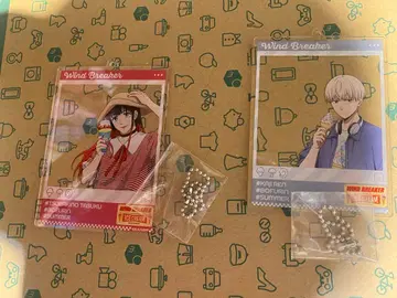 WIND BREAKER 윈브레이크 ICE CREAM 츠바키노, 가지