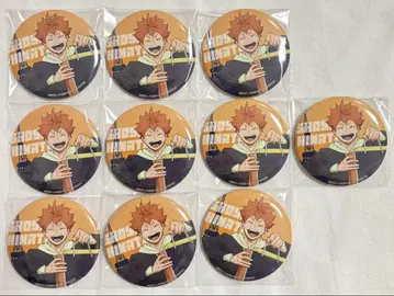 하이큐 도쿄 타워 히나타 쇼요 트레이딩 캔뱃지 10개