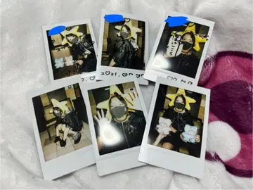 고양이 고양이 고양이 ZOCX 별 폴라로이드 6장 세트