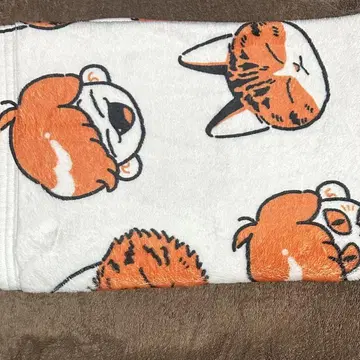 가수 메이짱 담요
