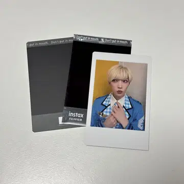 팬더 드래곤 파라곤 타이카 하피카 폴라로이드