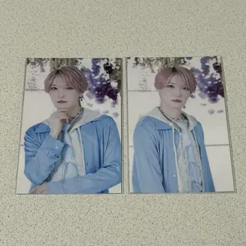 팬더 드래곤 파라곤 포토 카드 타이 2장 세트