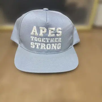 APES TOGETHER STRONG