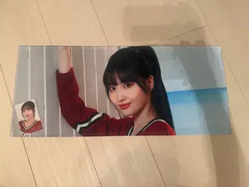 TWICE 허벅지 슬로건 트레이딩 카드 포함