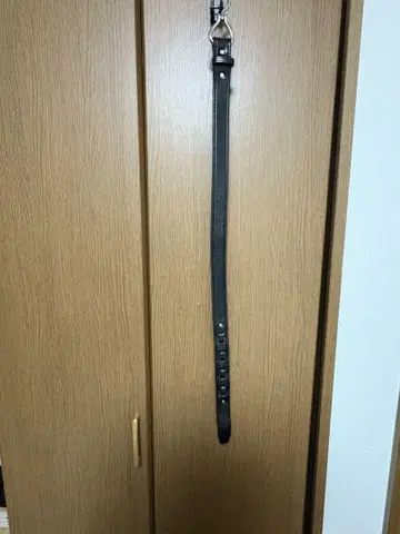 토리 레더 니켈 호프 픽 벨트
