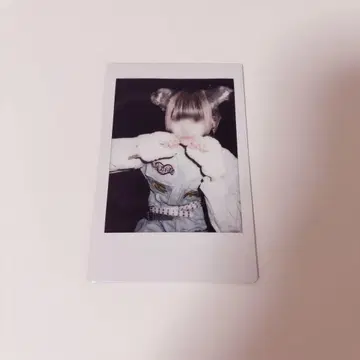 라부시쿠 하야테 핑 폴라로이드 솔로 폴라로이드