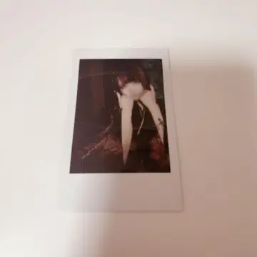 라부시쿠 하야테 핑 폴라로이드 솔로 폴라로이드