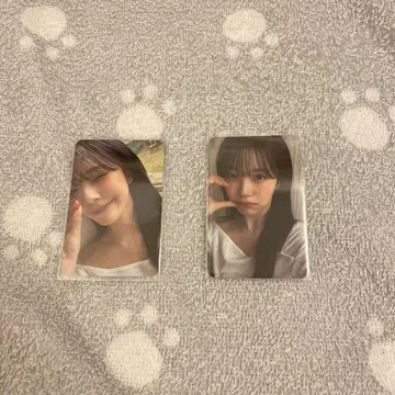 fromis_9 지혼 트레이딩 카드