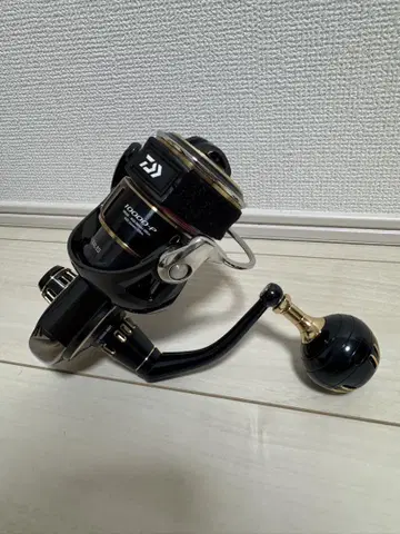 25 솔티가 10000-P