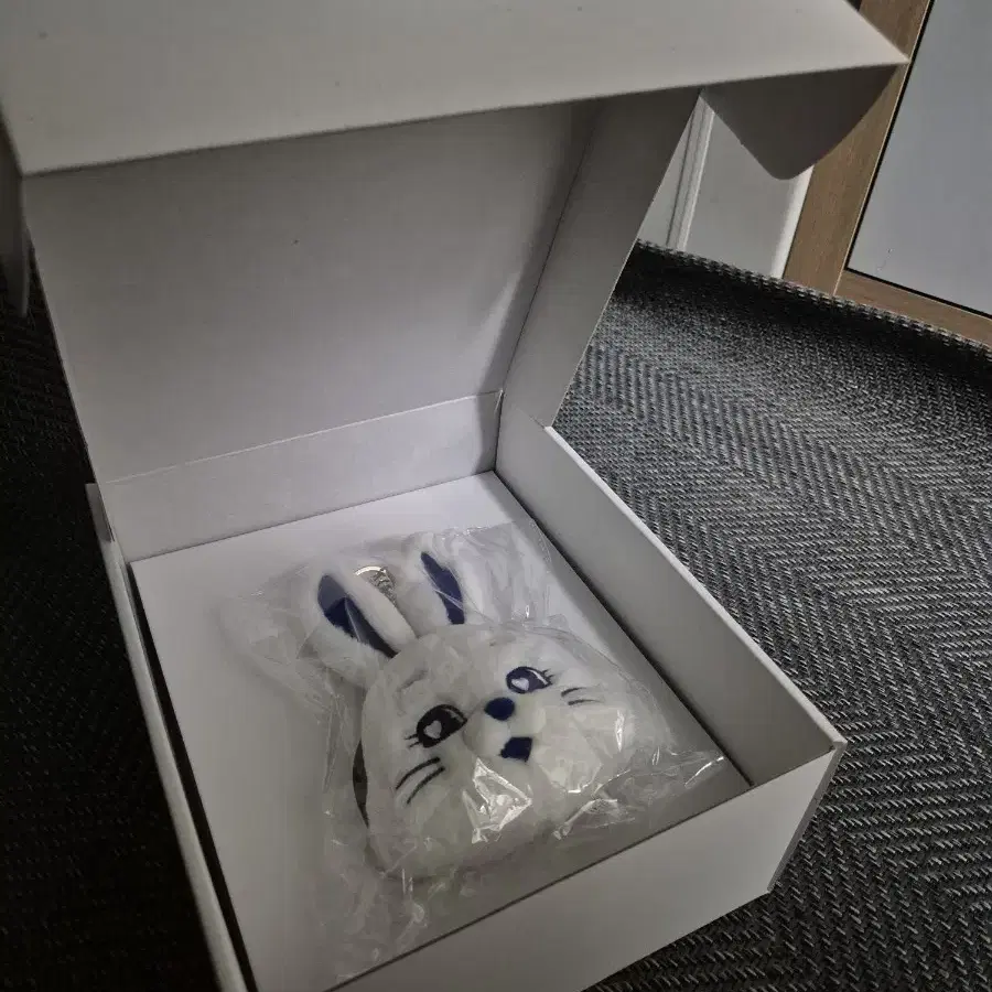 NEW JEANS | 뉴진스 2023 Newjins Bunnies Club Membership Kit