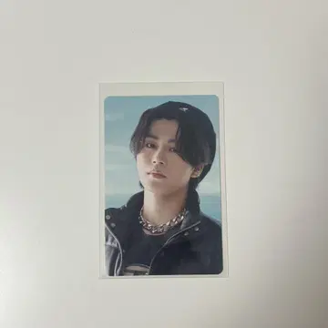 키마타 쇼야 라포스타 갤러리 트레이딩 카드