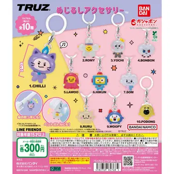 TREASURE TRUZ 메지루시 액세서리 전종 세트 컴프
