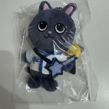 한국 RIIZE 팝업 10cm 키링 봉제 인형 원빈