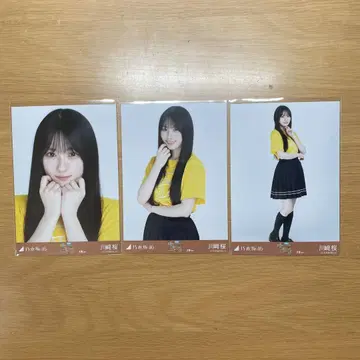 브로마이드 컴프 카와사키 사쿠라