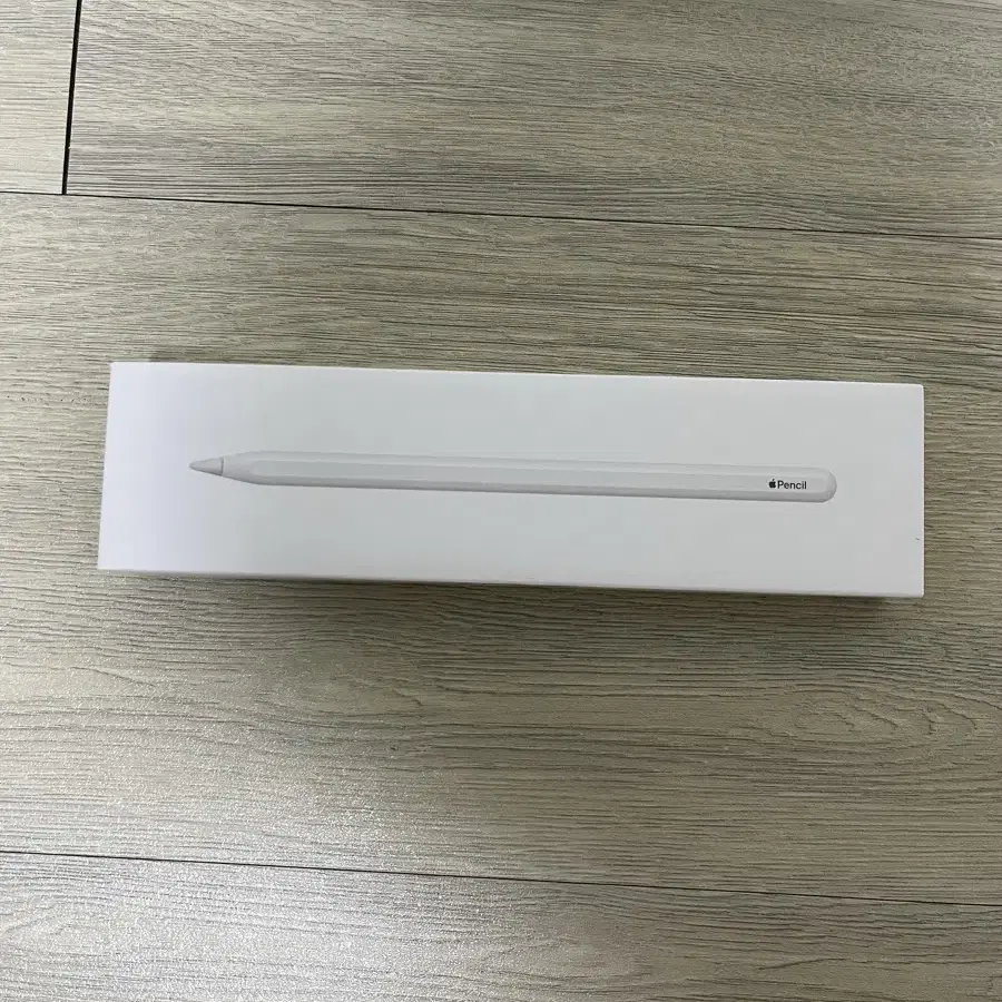 APPLE | 애플 Apple Pencil 2nd generation on Bunjang Global Site.