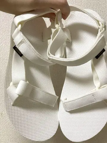 Teva 화이트 스포츠 샌들 브라이트 화이트 24.5cm