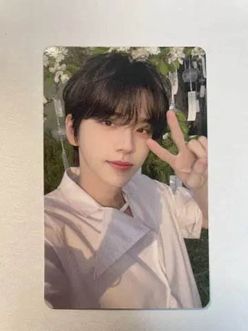 TWS 처음 뵙겠습니다 타워 레코드 라키드로 트레이딩 카드 시뉴