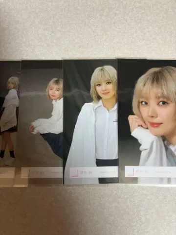 사쿠라자카46 브로마이드 후지요시 카린