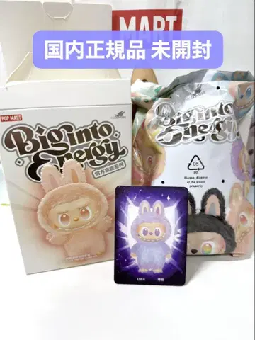 익명 배송 러브부 labubu LUCK Big into Energy