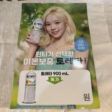 에스파 윈터 포스터