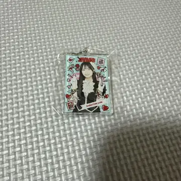 백조 사레 아크링 키링