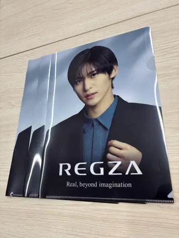 REGZA 포트레이트 클리어 파일