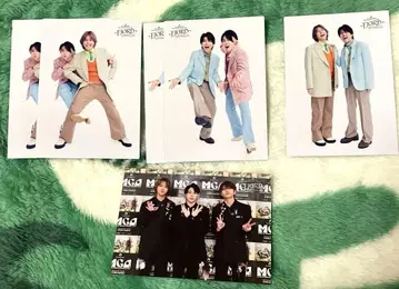 미세스 그린 애플 피요르드 포토 카드 세트 6장