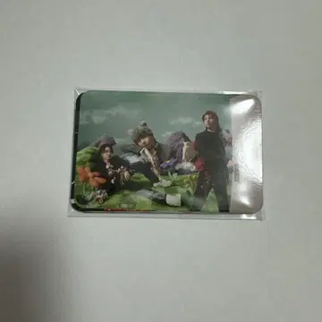 Mrs. GREEN APPLE 서울 콘서트 카드