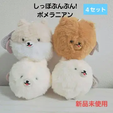 새상품 꼬리 펄럭이는 포메라니안 베이지 화이트 포메 크림 포메 차포메