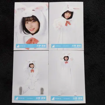 히나타자카46 오노 마나미 '동물 인형옷' 4종 컴프 브로마이드 컴프