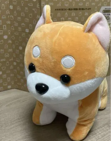 시바견의 큰 봉제 인형