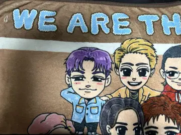 이와타니 쇼고 멘프로 담요