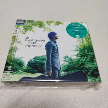 evergreen  최초 한정판