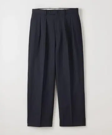 Steven Alan 트로피컬 스트라이프 인투 플리츠 트라우저