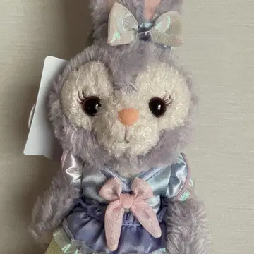 컬러풀 행복 포지 플라시 스텔라 루
